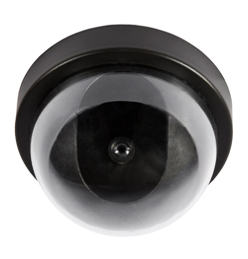Video Surveillance Systems in Lisle IL
